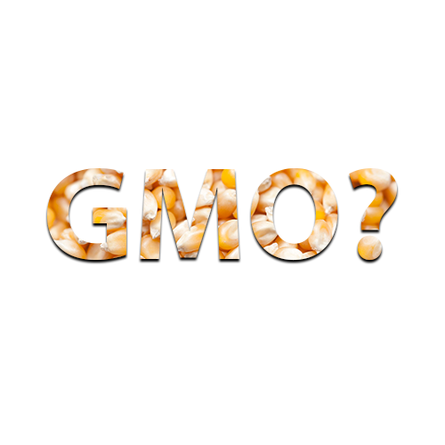 CO TO JEST GMO?